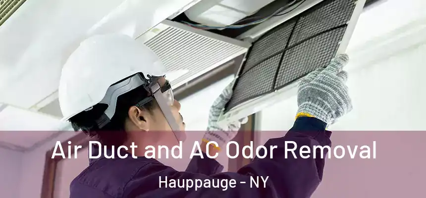 Air Duct and AC Odor Removal Hauppauge - NY