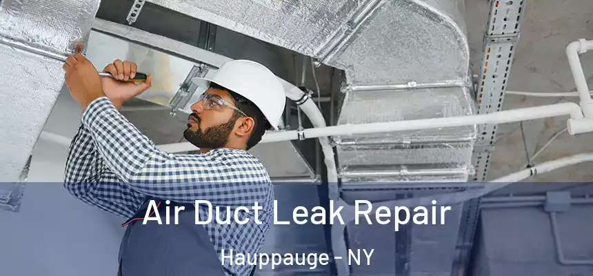 Air Duct Leak Repair Hauppauge - NY