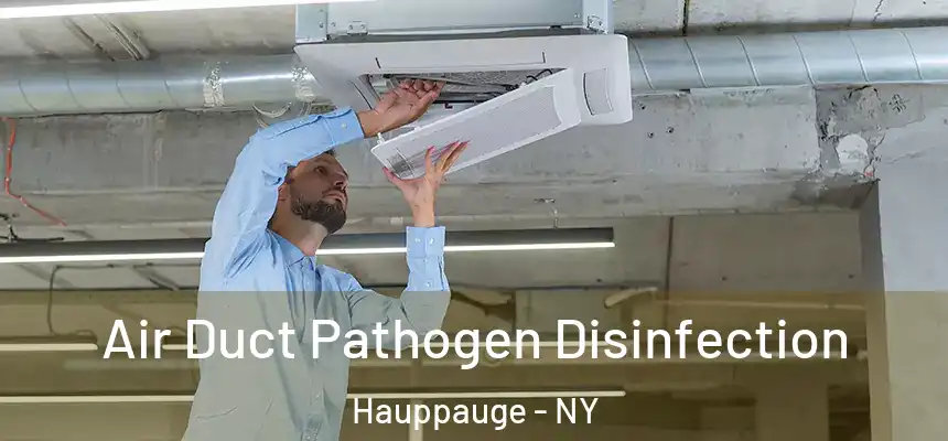 Air Duct Pathogen Disinfection Hauppauge - NY