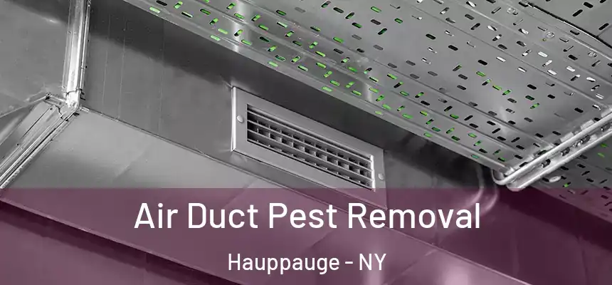  Air Duct Pest Removal Hauppauge - NY