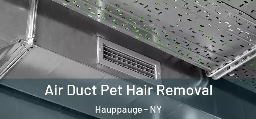 Air Duct Pet Hair Removal Hauppauge - NY