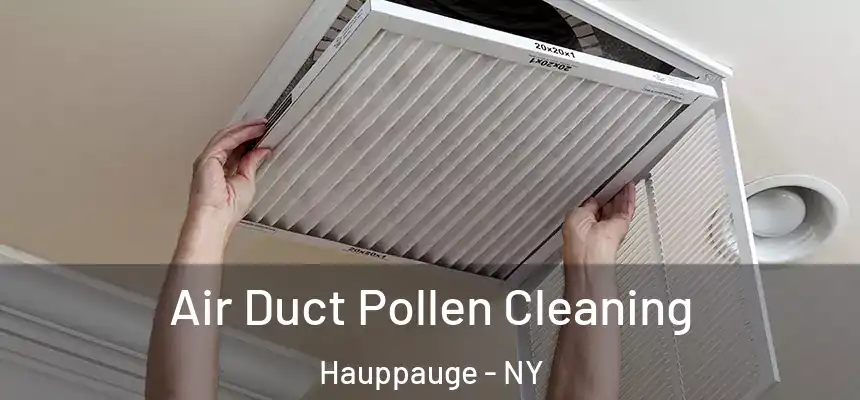 Air Duct Pollen Cleaning Hauppauge - NY