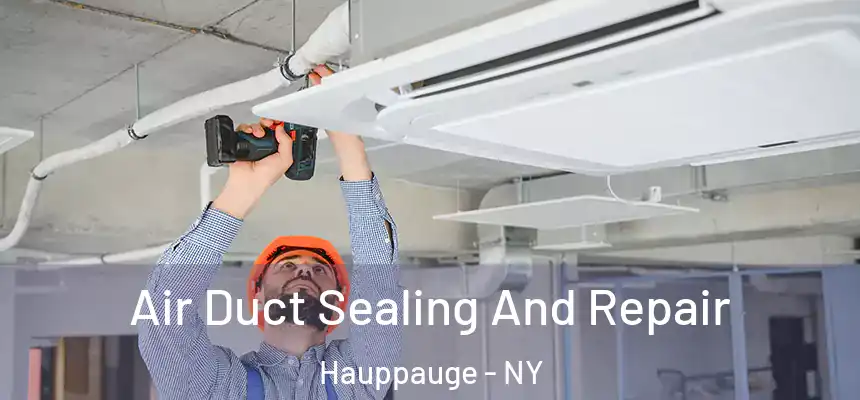 Air Duct Sealing And Repair Hauppauge - NY