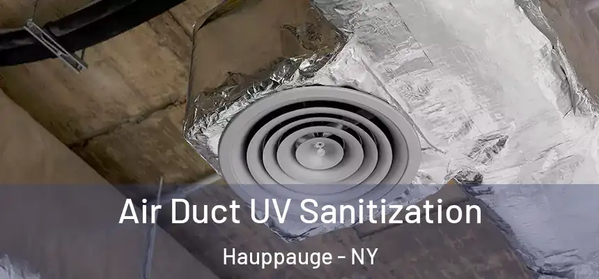 Air Duct UV Sanitization Hauppauge - NY