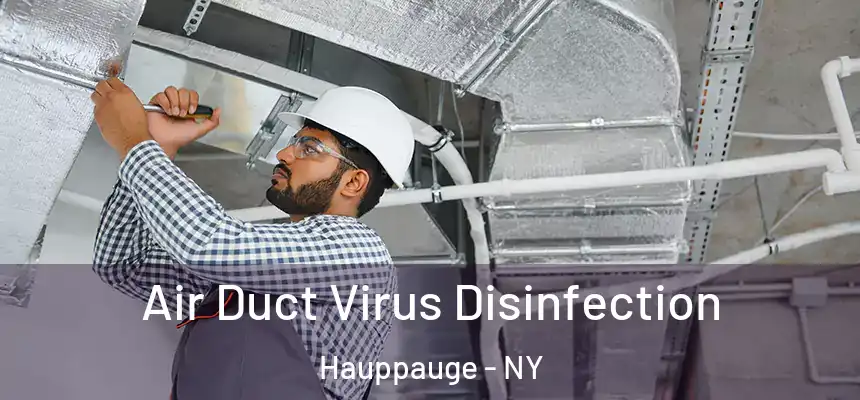  Air Duct Virus Disinfection Hauppauge - NY