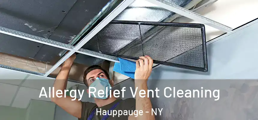 Allergy Relief Vent Cleaning Hauppauge - NY
