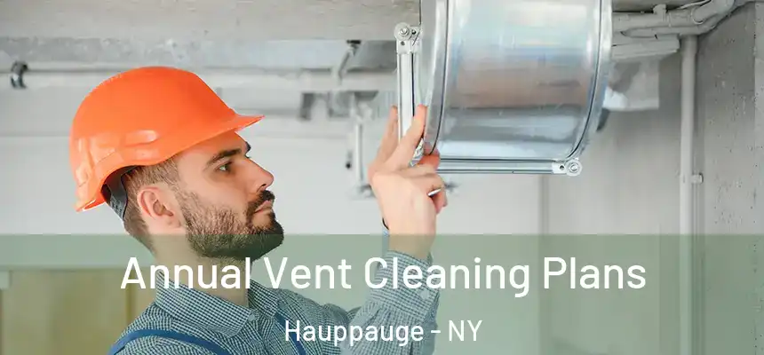 Annual Vent Cleaning Plans Hauppauge - NY