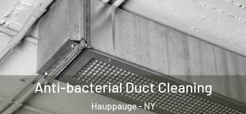  Anti-bacterial Duct Cleaning Hauppauge - NY