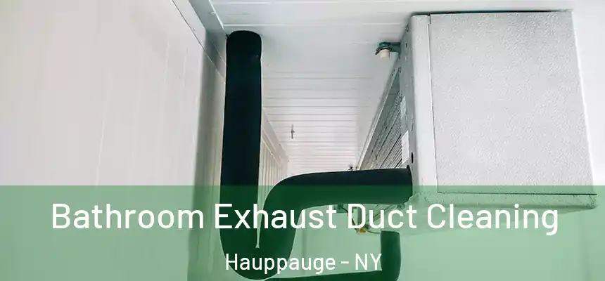 Bathroom Exhaust Duct Cleaning Hauppauge - NY