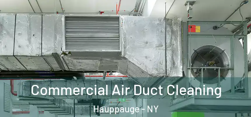 Commercial Air Duct Cleaning Hauppauge - NY