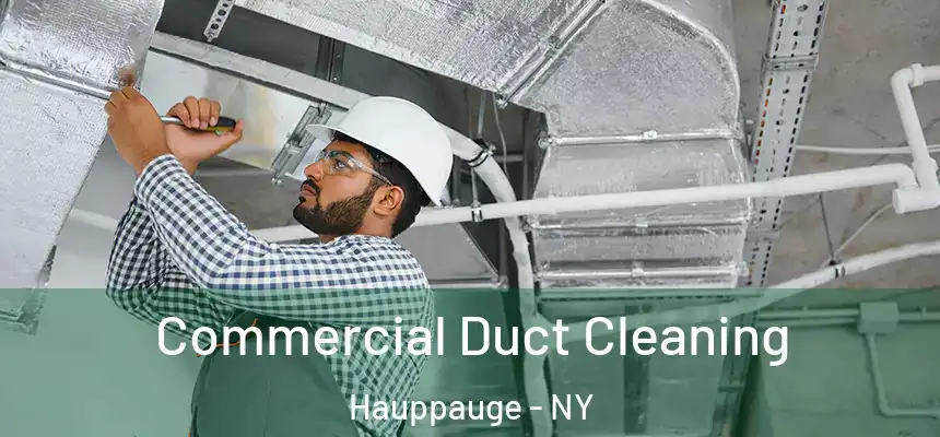 Commercial Duct Cleaning Hauppauge - NY