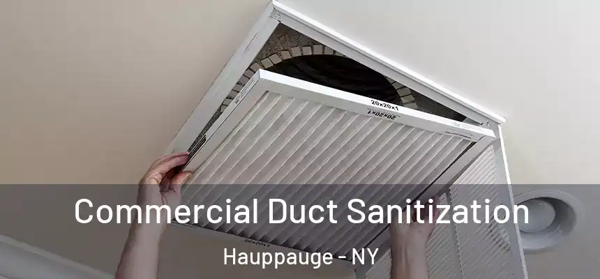 Commercial Duct Sanitization Hauppauge - NY