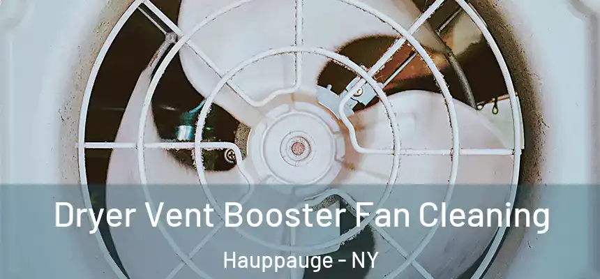 Dryer Vent Booster Fan Cleaning Hauppauge - NY