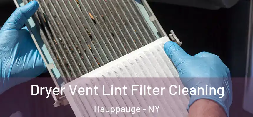  Dryer Vent Lint Filter Cleaning Hauppauge - NY