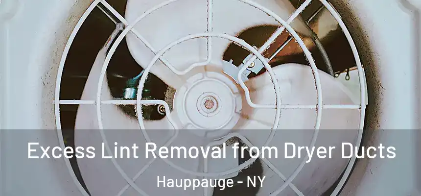 Excess Lint Removal from Dryer Ducts Hauppauge - NY