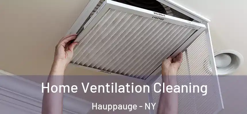 Home Ventilation Cleaning Hauppauge - NY