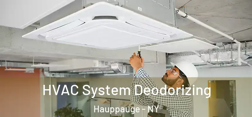  HVAC System Deodorizing Hauppauge - NY