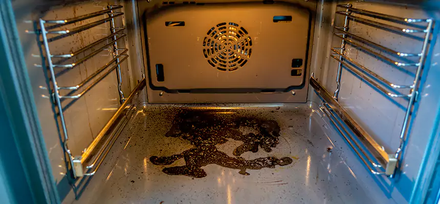 Our Dryer Vent Mold Cleaning Services in Hauppauge, NY