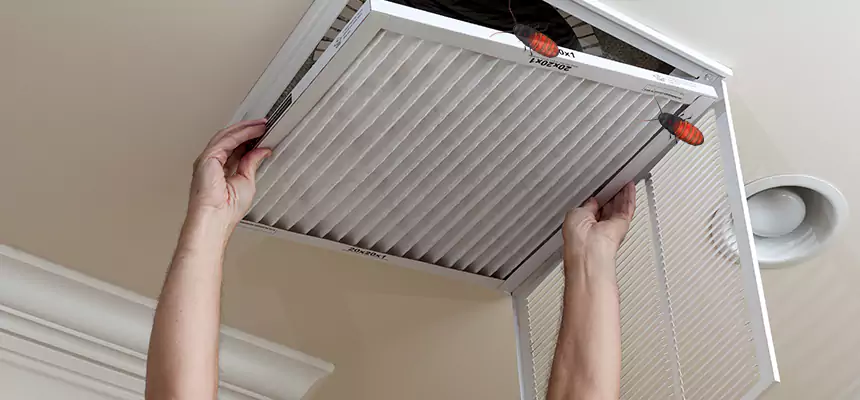 Our Insect Removal from Air Ducts Services in Hauppauge, NY