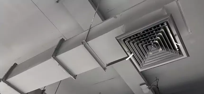 Our Rodent Droppings In Vents Services in Hauppauge, NY