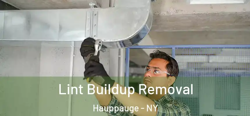  Lint Buildup Removal Hauppauge - NY