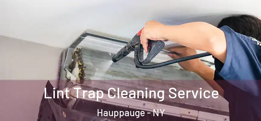  Lint Trap Cleaning Service Hauppauge - NY