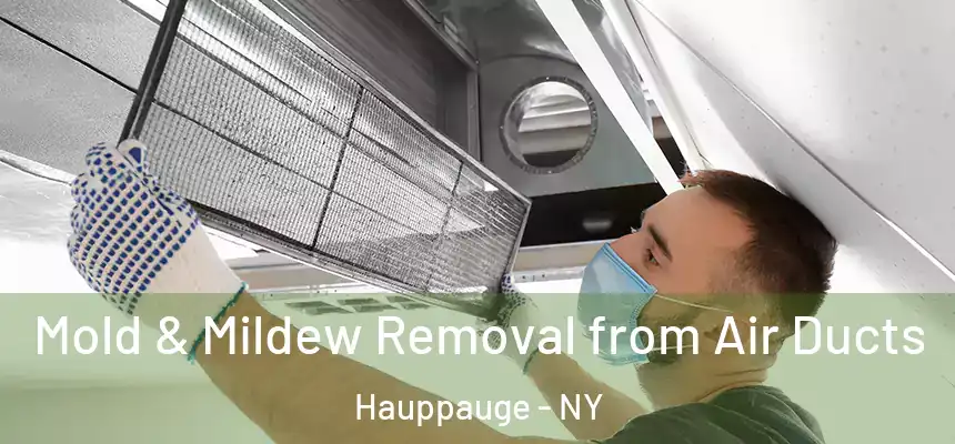 Mold & Mildew Removal from Air Ducts Hauppauge - NY