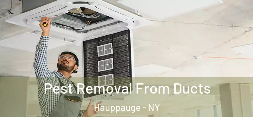  Pest Removal From Ducts Hauppauge - NY