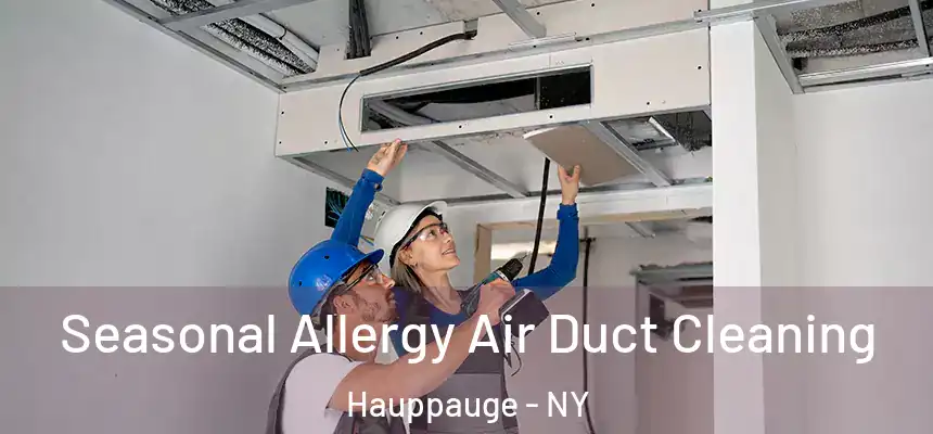 Seasonal Allergy Air Duct Cleaning Hauppauge - NY