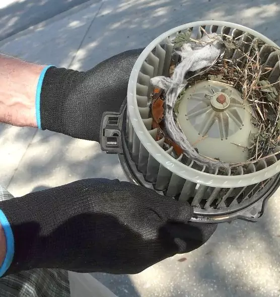 About Air Duct Mice Removal in Hauppauge, NY