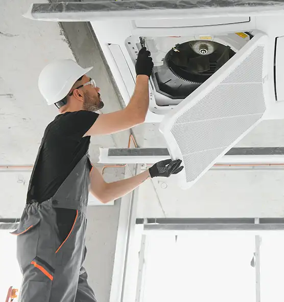 About Air Duct Rodent Removal in Hauppauge, NY