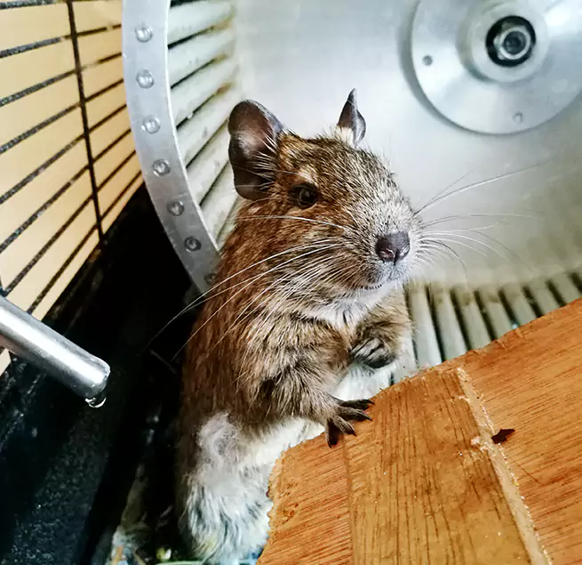 Why Homeowners & Businesses Trust Us Hauppauge, NY