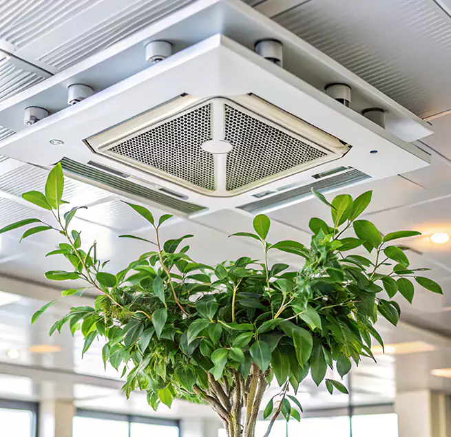 Why Homeowners & Businesses Trust Us in Hauppauge, NY?