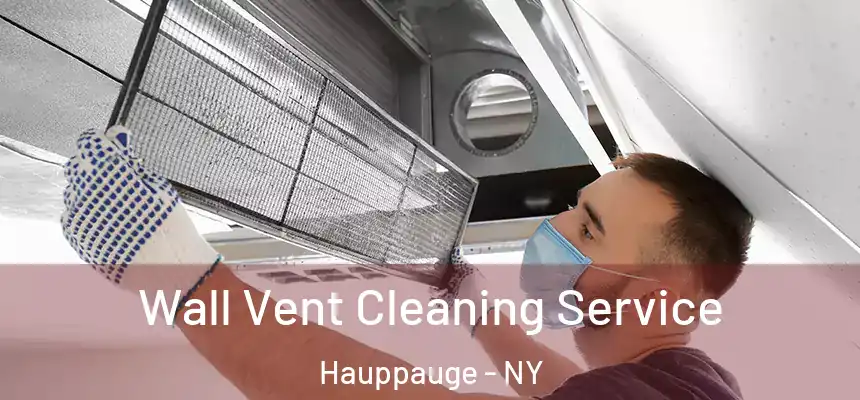 Wall Vent Cleaning Service Hauppauge - NY