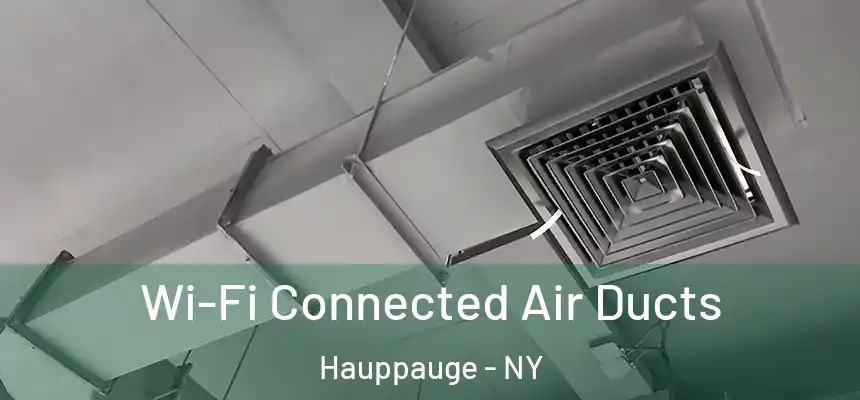  Wi-Fi Connected Air Ducts Hauppauge - NY